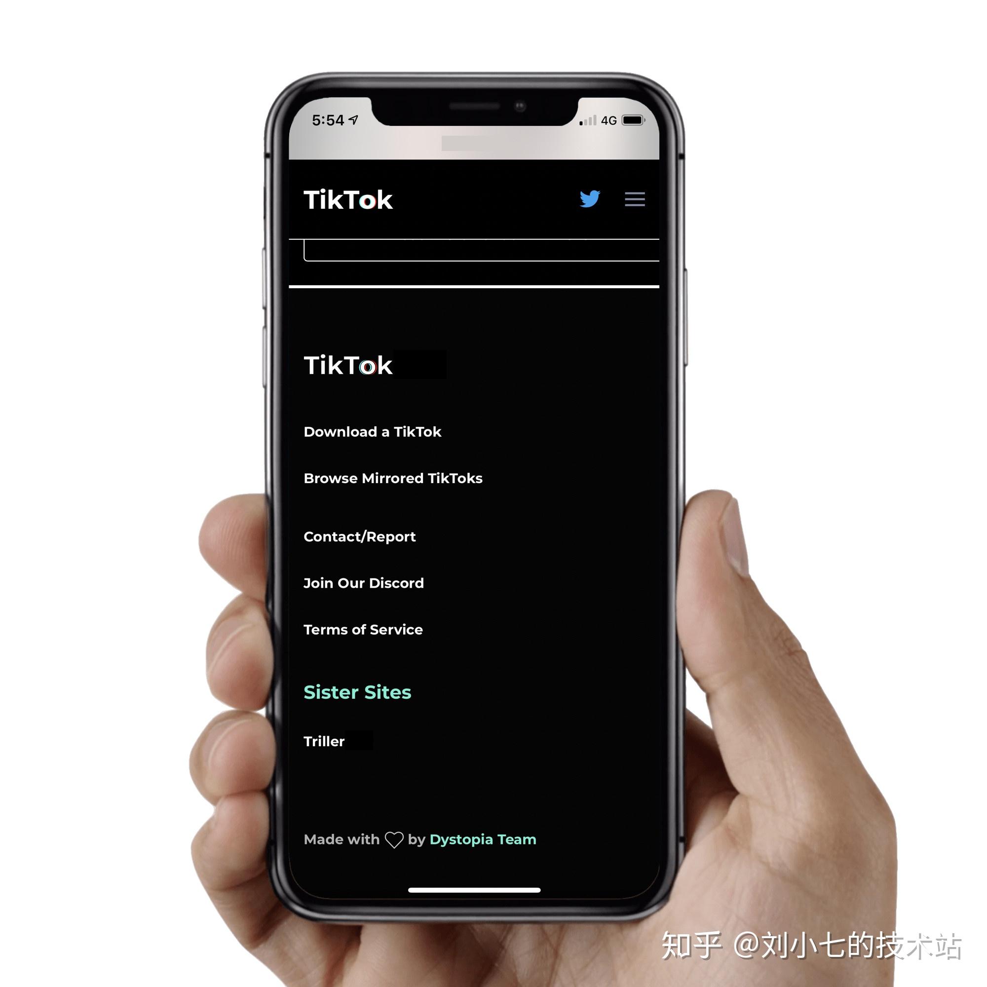 抖音国外版tiktok下载_抖音国外叫什么_抖音国外