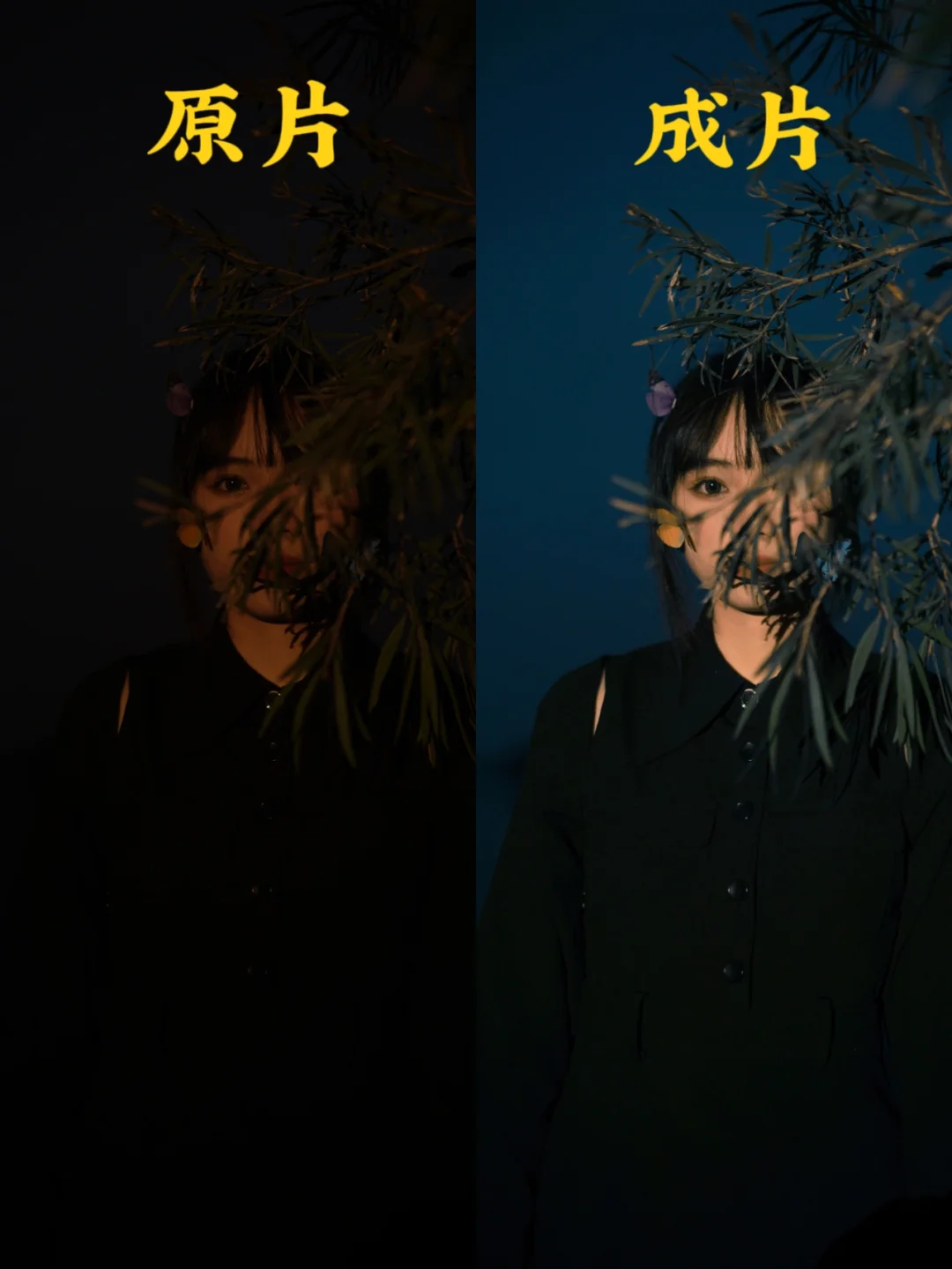 做菜的手机游戏_做菜游戏app_自己做菜的手机游戏