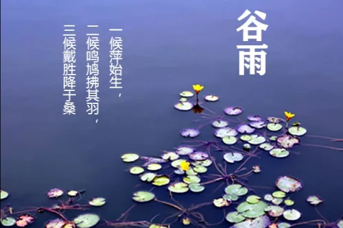 谷雨三侯_谷雨三侯_谷雨三侯