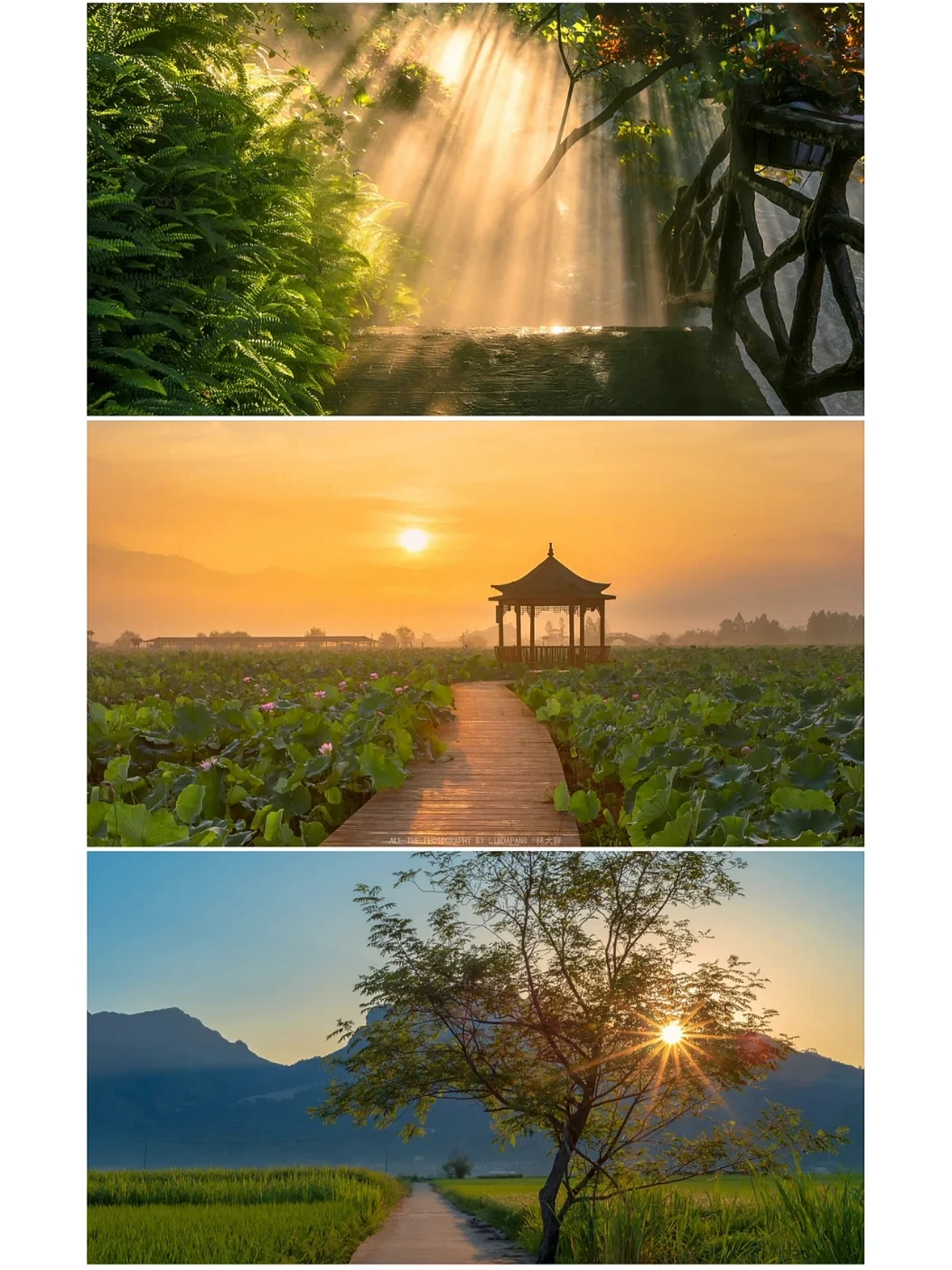 夏天玩手机发烫怎么办_夏天玩手机容易发烫怎么办_夏天打游戏手机