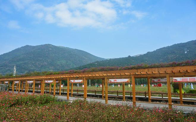 eos币柚子已经确定跑路_跑路币为何还有交易量_跑路的币