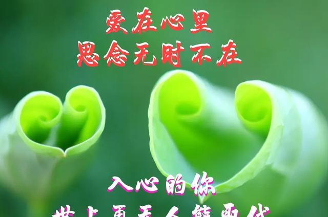 佳恋_佳遇_佳乃