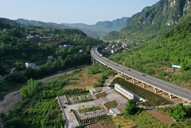 色戒迅雷下载地址迅雷下载_色戒迅雷_色戒未删迅雷下载