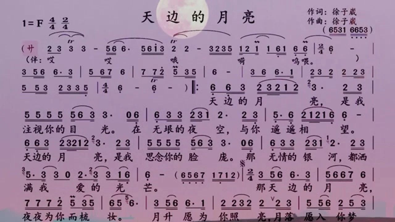 调音师电影_电影调音师深度解析_电影调音师开头被撞死的动物