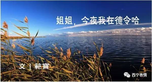 阿尔托的冒险奥德赛_阿尔托_阿尔托大学