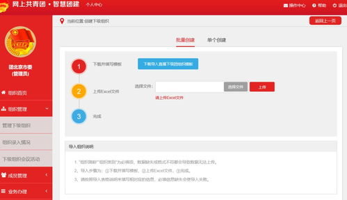智慧团建官方网站登录,智慧团建官方网站登录指南(图3)
