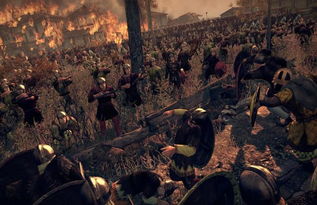 阿提拉全面战争 加钱10w(图2) 阿提拉全面战争 加钱10w(图2)