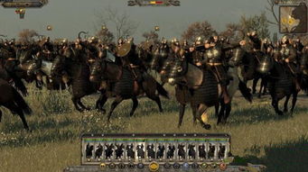 阿提拉全面战争 加钱10w(图6) 阿提拉全面战争 加钱10w(图6)