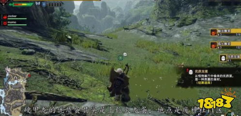 硬甲龙,游戏王中的神秘怪兽卡(图1) 硬甲龙,游戏王中的神秘怪兽卡(图1)