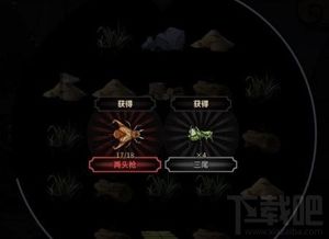 捉蛐蛐的游戏下载,探索蛐蛐世界的乐趣——捉蛐蛐游戏下载指南(图1) 捉蛐蛐的游戏下载,探索蛐蛐世界的乐趣——捉蛐蛐游戏下载指南(图1)