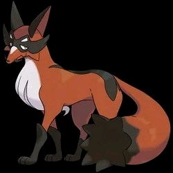 逐电犬,电光四射的奔跑精灵(图5) 逐电犬,电光四射的奔跑精灵(图5)