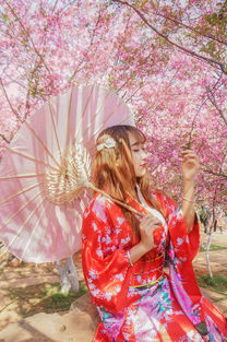 樱花祭,春天的浪漫盛宴(图2)