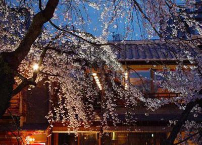 樱花祭,春天的浪漫盛宴(图5)