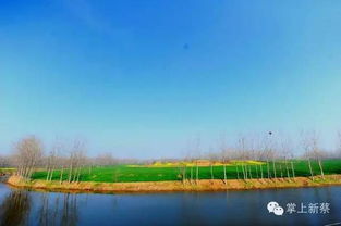 云上新蔡,云上新蔡APP——新蔡县本地资讯与服务的便捷平台(图1) 云上新蔡,云上新蔡APP——新蔡县本地资讯与服务的便捷平台(图1)