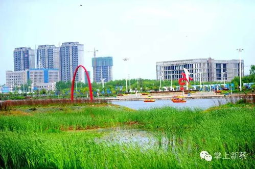 云上新蔡,云上新蔡APP——新蔡县本地资讯与服务的便捷平台(图5) 云上新蔡,云上新蔡APP——新蔡县本地资讯与服务的便捷平台(图5)