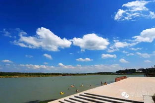 云上新蔡,云上新蔡APP——新蔡县本地资讯与服务的便捷平台(图7) 云上新蔡,云上新蔡APP——新蔡县本地资讯与服务的便捷平台(图7)