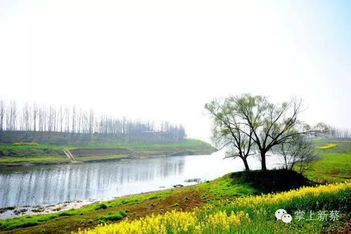 云上新蔡,云上新蔡APP——新蔡县本地资讯与服务的便捷平台(图8) 云上新蔡,云上新蔡APP——新蔡县本地资讯与服务的便捷平台(图8)