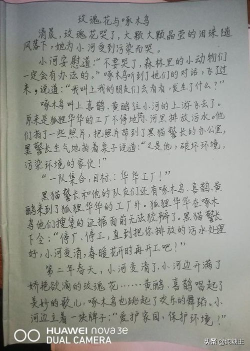 家务劳动作文,家务劳动，成长的必修课(图7)