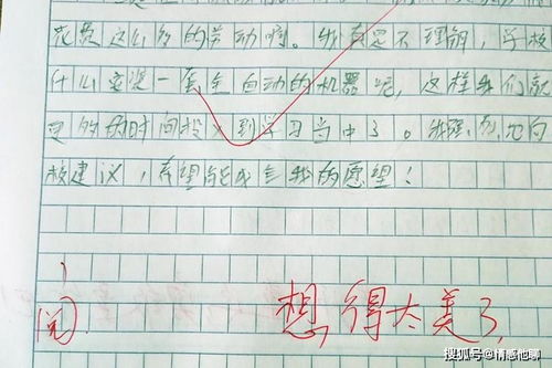 家务劳动作文,家务劳动，成长的必修课(图15)