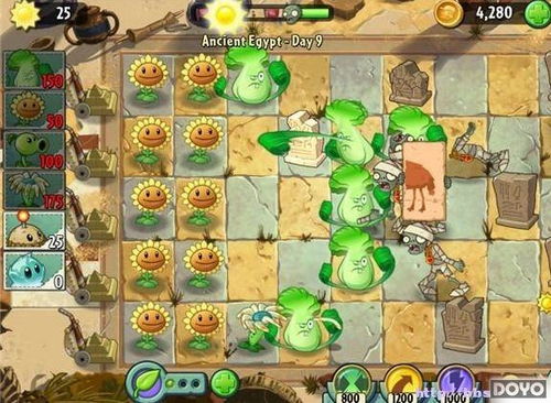 植物大战僵尸2堕落过程(图7) 植物大战僵尸2堕落过程(图7)