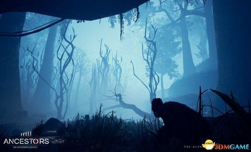 先祖人类奥德赛 迁徙,穿越时空的迁徙之旅(图4) 先祖人类奥德赛 迁徙,穿越时空的迁徙之旅(图4)