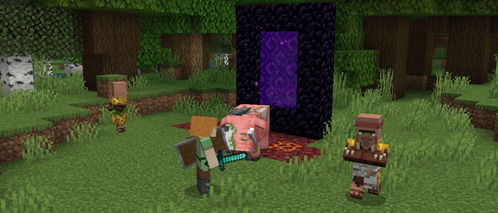 minecraft 1.16.5 更新乐啥(图1)