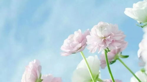 有你就有好心情,有你就有好心情——揭秘快乐生活的秘诀(图6)
