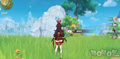 原神琉璃袋在哪里,探索神秘之地,解锁宝藏(图8) 原神琉璃袋在哪里,探索神秘之地,解锁宝藏(图8)