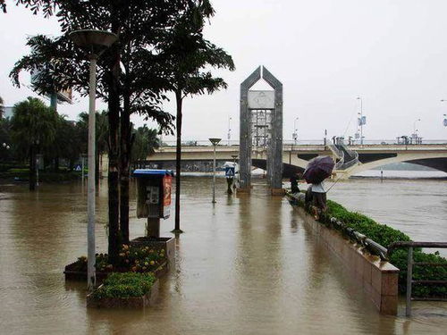 遭遇洪水袭击来不及撤离时,遭遇洪水袭击来不及撤离时的应对措施(图1)