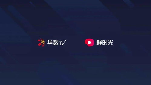 华数TV安卓版(图2)