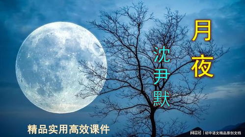 月夜下载免费下载,享受音乐与视频的无限乐趣(图4)