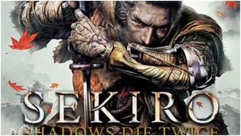 只狼英文名,影逝二度》的英文名及其文化内涵(图2) 只狼英文名,影逝二度》的英文名及其文化内涵(图2)