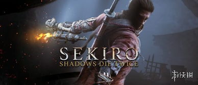 只狼英文名,影逝二度》的英文名及其文化内涵(图3) 只狼英文名,影逝二度》的英文名及其文化内涵(图3)