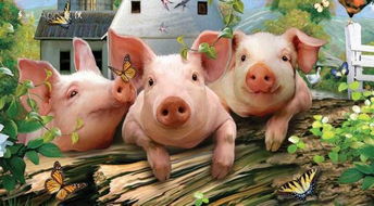 资源猪,传承与创新中的农业瑰宝(图8) 资源猪,传承与创新中的农业瑰宝(图8)