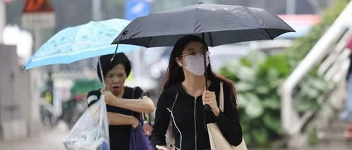 在线观看星空传媒入口,探索星空传媒入口,在线观看影视盛宴(图4) 在线观看星空传媒入口,探索星空传媒入口,在线观看影视盛宴(图4)