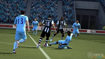 fifa 12,fifa manager 12(图3)