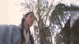 朱丹臣,王语嫣忍痛承欢(图5)