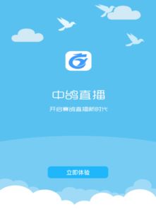 中鸽4g直播网,中鸽4G直播网——信鸽爱好者的在线盛宴(图2)