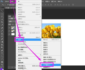 怎么把照片镜像翻转,如何将照片进行镜像翻转？简单步骤轻松掌握(图1)