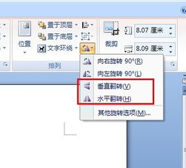 怎么把照片镜像翻转,如何将照片进行镜像翻转？简单步骤轻松掌握(图2)