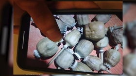空弹拍片,电影制作中的安全与艺术(图3) 空弹拍片,电影制作中的安全与艺术(图3)