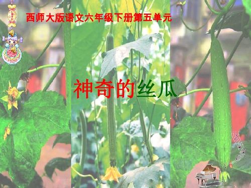 AC18Pro安卓版(图10) AC18Pro安卓版(图10)