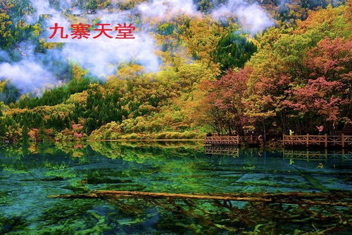 面目全非的江流市,剑灵《面目全非的江流市》副本攻略详解(图2) 面目全非的江流市,剑灵《面目全非的江流市》副本攻略详解(图2)