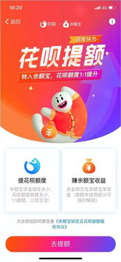 小狐狸支付,便捷安全的数字支付新选择(图8) 小狐狸支付,便捷安全的数字支付新选择(图8)