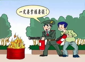 安全 死亡,从悲剧中汲取教训(图2)