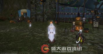 ff14 日活 2023,wiki灰机ff14素素(图4)