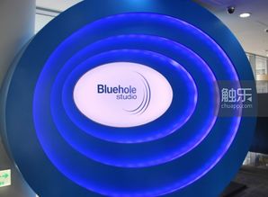 bluehole studio,引领游戏行业的创新力量(图5)