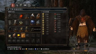 暗黑2套装,套装的魅力与策略(图9) 暗黑2套装,套装的魅力与策略(图9)