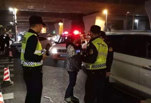 疯狂运输2 提供服务 任务,提供全方位服务,打造高效物流体验(图4) 疯狂运输2 提供服务 任务,提供全方位服务,打造高效物流体验(图4)