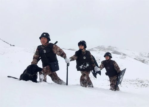 许婉君游戏,游戏界的璀璨新星(图3)